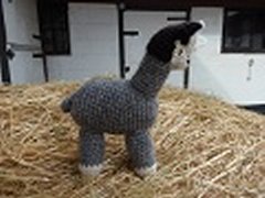 Crocheted Toys - Keir
